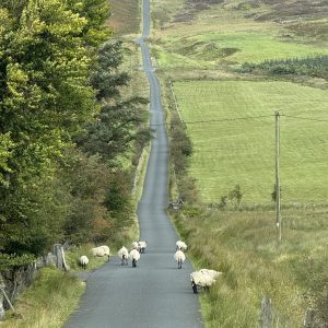 The Irish Odyssey- Private Bespoke Tour Sep 28 to Oct 15 2026