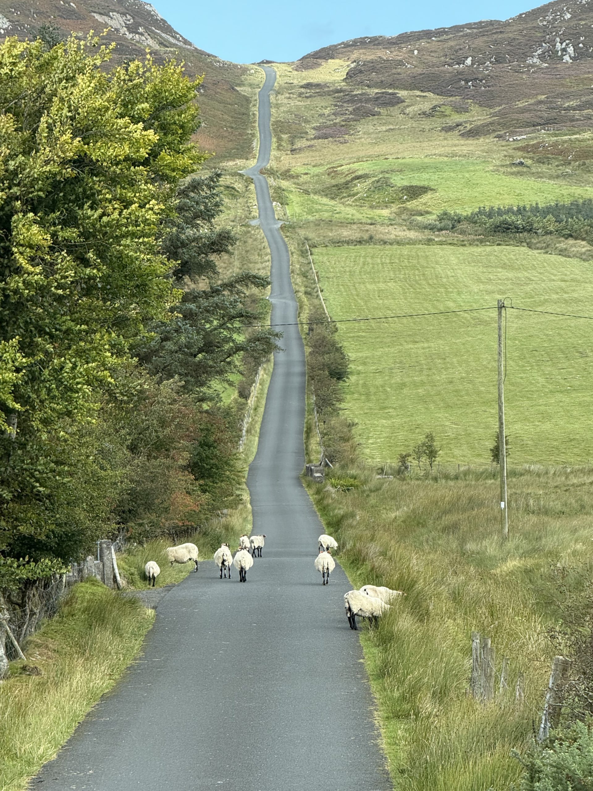 The Irish Odyssey- Private Bespoke Tour Sep 28 to Oct 15 2026